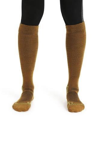 Clove / Silent Gold Men's Icebreaker Merino Ski+ Ultralight Over the Calf Socks | USA 1017DFMN